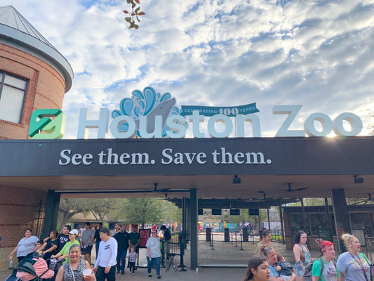 A Family Day at The Houston Zoo